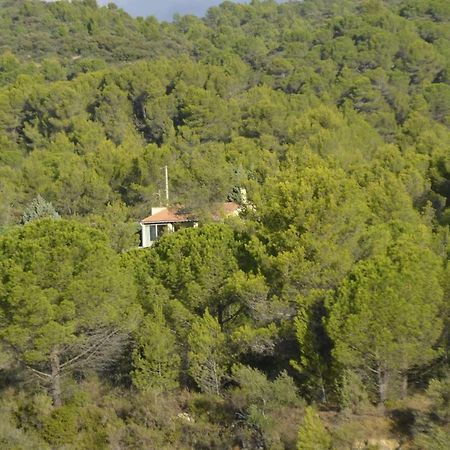 La Petite Cigale Villa Cesseras Luaran gambar