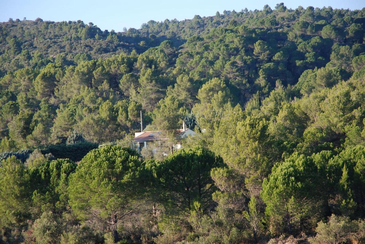 La Petite Cigale Villa Cesseras Luaran gambar