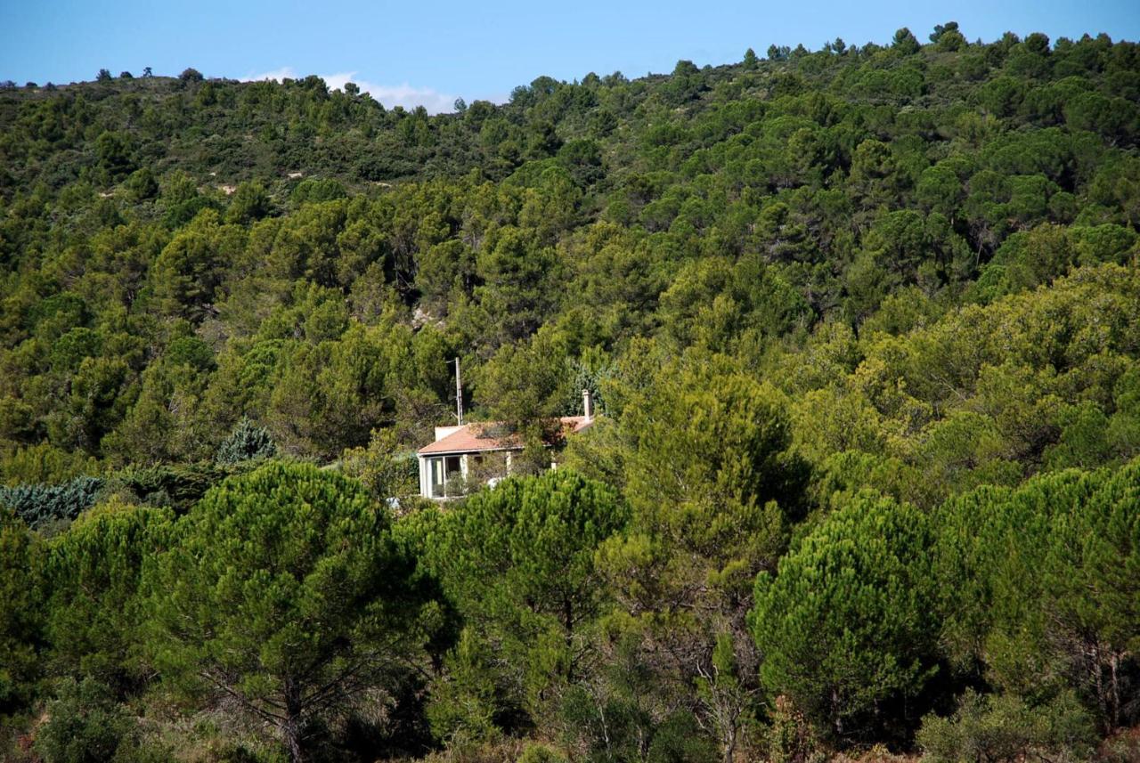La Petite Cigale Villa Cesseras Luaran gambar