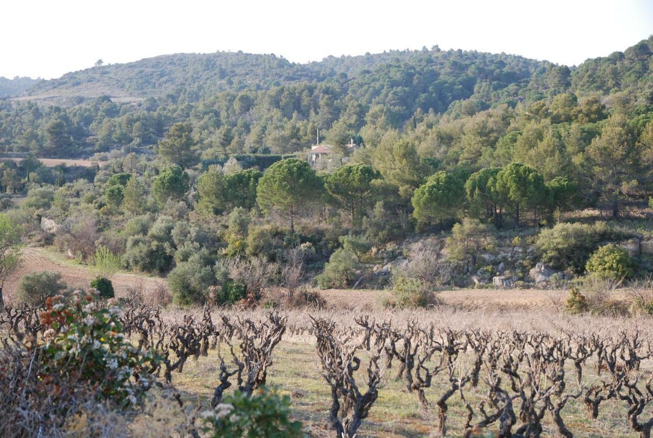 La Petite Cigale Villa Cesseras Luaran gambar