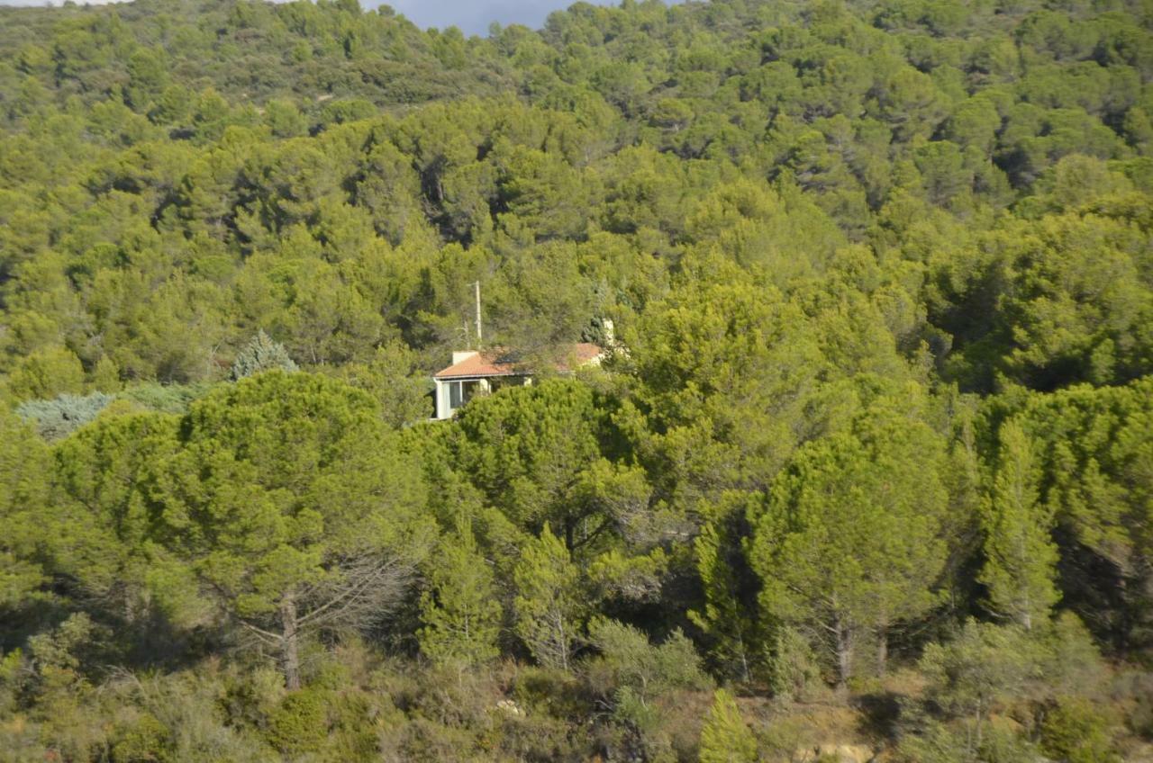 La Petite Cigale Villa Cesseras Luaran gambar
